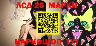 apvp Гусев