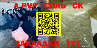 apvp Гусев