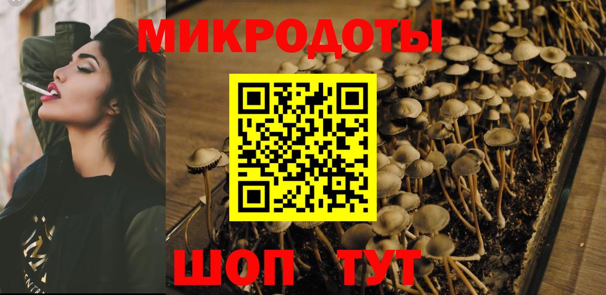 Галлюциногенные грибы мухоморы  Вход с VPN  Псилоцибиновые грибы GOLDEN TEACHER  где продают наркотики  Магадан 